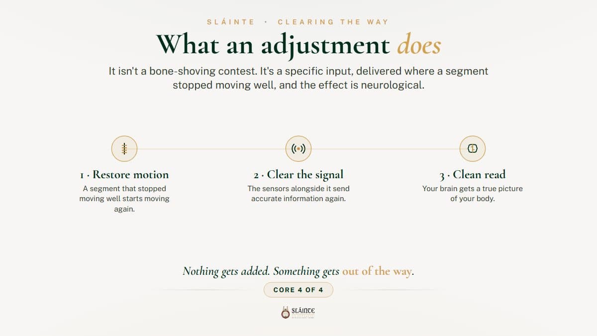 What Actually Happens During a Chiropractic Adjustment