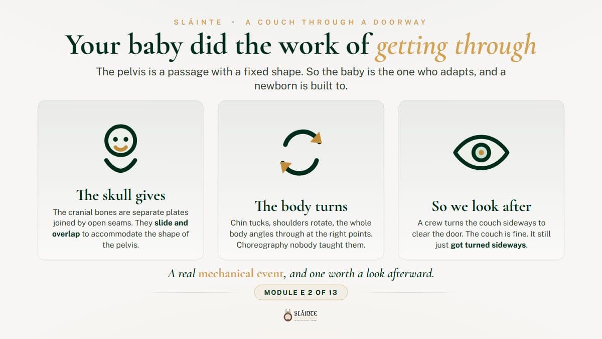 Is Birth a Physical, Mechanical Event for a Baby?