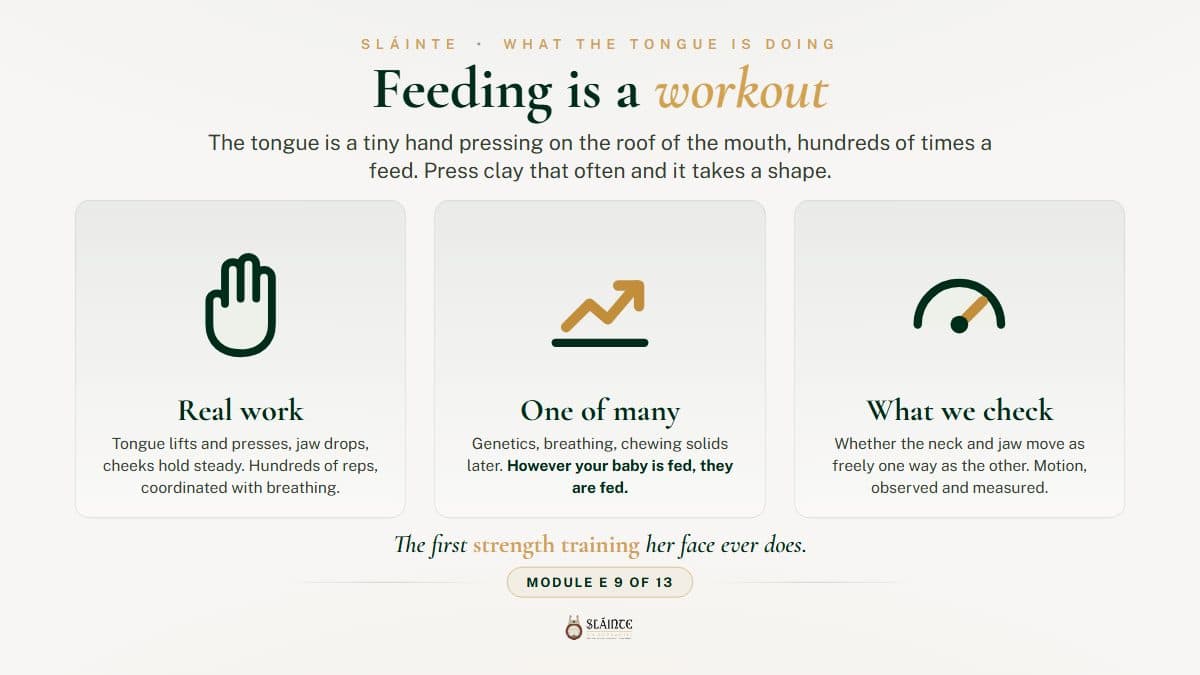 How Feeding Builds a Baby's Face and Jaw